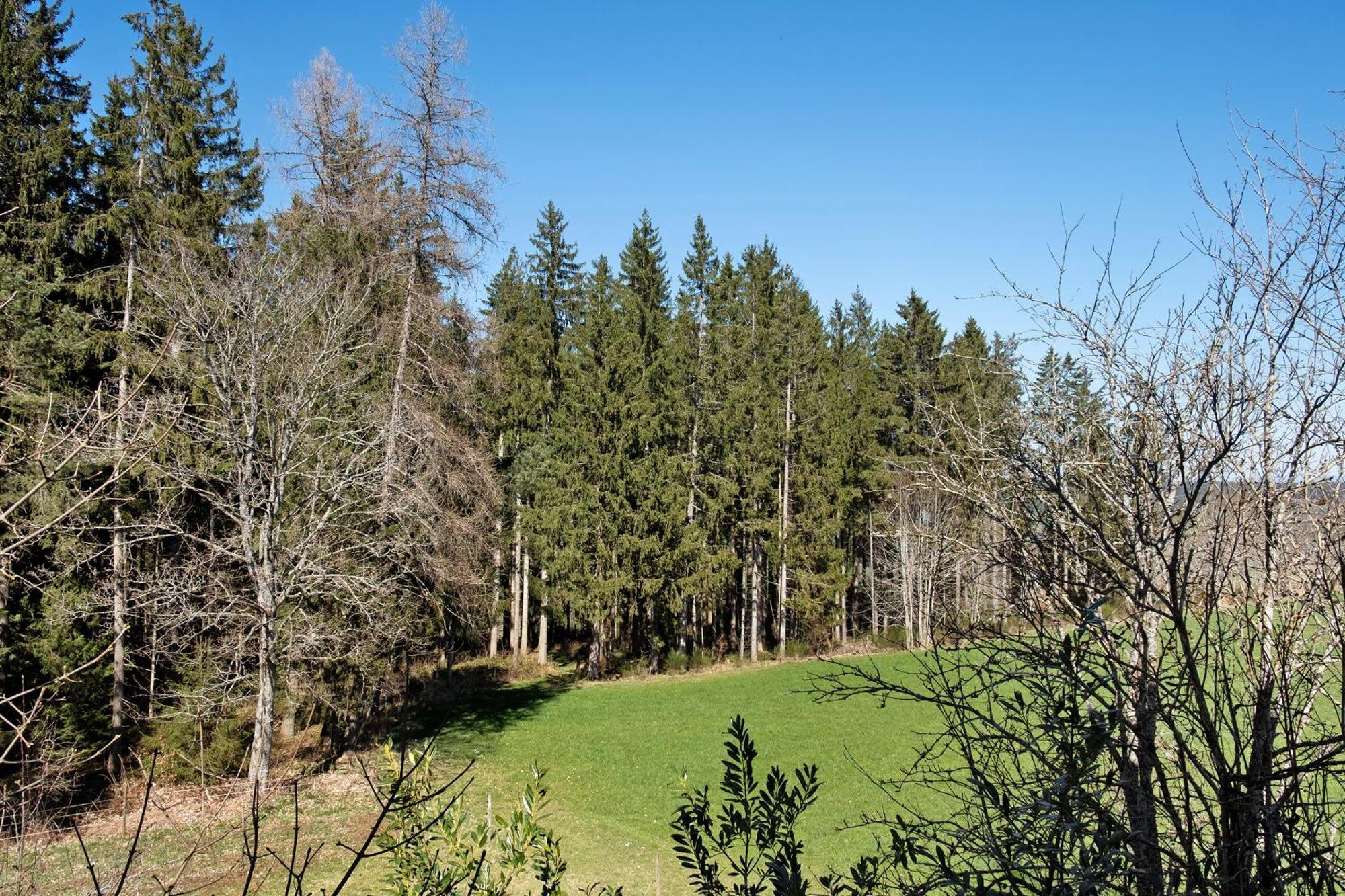 Ferienwohnung Schartenschmiede Sankt Georgen im Schwarzwald Esterno foto